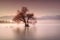 a lone tree in the middle of a body of water with mountains in the background and fog in the air, with a hazy sky