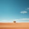 a lone tree in the middle of an empty desert