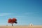 a lone tree in the middle of an empty field