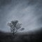 Lone Tree in a Misty Landscape