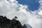 Lone tree and Mt Thamserku in Himalayas