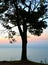 Lone Tree overlooking Lake Michigan at Sunrise