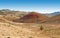 Lone Tree In Painted Hills