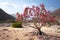 Lone tree with pink flower in an arid landscape AI generated