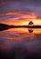 Lone tree reflecting in calm lake with beautiful fiery sunset clouds in sky. Kelly Hall Tarn, Lake District, UK.