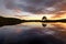 Lone tree reflecting in lake at sunset. Taken at Kelly Hall Tarn in the Lake District, UK.