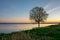 Lone tree at the shore of a lake after sunset