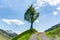 Lone tree on the side of a gravel country lane with blue sky and moutain landscape behind