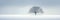 Lone tree on snowy field, panoramic minimalist landscape in winter. Wide banner with peaceful nature in white. Concept of snow,