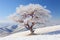 a lone tree on a snowy hillside with mountains in the background