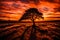 A lone tree standing against a fiery sunset,