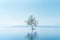 a lone tree is standing on a small island in the middle of a large body of water