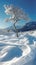 Lone Tree Standing in Snowy Field