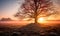 A lone tree stands amid rocks as the sunrise casts a warm golden glow through a misty rural landscape