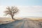 a lone tree stands on a dirt road in the middle of nowhere