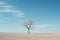 a lone tree stands in the middle of a barren field