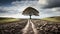 a lone tree stands in the middle of a dirt road