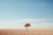 a lone tree stands in the middle of an empty desert