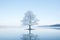 a lone tree stands in the middle of a lake