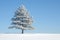 A Lone Tree Stands in the Middle of a Snowy Field, A lone pine tree covered in snow under the clear winter sky, AI Generated