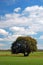 A lone tree stands in the middle of vast farmland