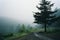 a lone tree stands on the side of a dirt road