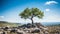 a lone tree stands on top of a rocky hill