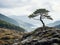 a lone tree stands on top of a rocky hill