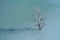 A lone tree sticks out of the water in the Zaramag reservoir. Mountains of the North Caucasus. Hot summer day. Republic of North