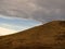 Lone Tree with Storm Clouds