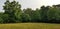 Lone tree in a sunlit meadow - North Georgia - McDaniel Farm in Duluth