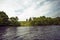 Lone tree at the top of a grassy knoll on a fishing lake