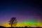 Lone Tree under Aurora Borealis
