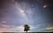 Lone tree under beautiful Milky ways and shiny stars.