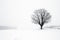 Lone Tree in Winter Blizzard.