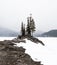 Lone trees stand tall above a frozen lake in Banff National Park