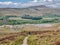 A lone walker on a stone path above the limestone pavement of Southerscales Scars in the Yorkshire Dales, UK