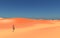 Lone wanderer in a desert