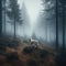 Lone white wolf moves through eerie, misty forest