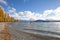 Lone willow tree at lake wanaka new zealand