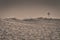 Lone windmill on West Texas desert