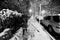 Lone woman walking on the snow covered pavement of a Harlem street on a freezing snowstorm night.