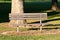 A lone wooden bench in a secluded park