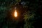 Loneliness concept lonely retro bulb glow in the evening garden