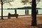 The loneliness of an isolated man sitting on the bench in front of the Trasimeno Lake Umbria, Italy