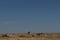 Lonely abandoned rural house in the middle of a plain dry grass field