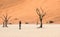 Lonely adventure travel photographer at Deadvlei crater in Sossusvlei