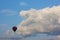 Lonely air baloon flying in front of white puffy clouds