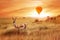 Lonely antelope Eudorcas thomsonii in the African savanna against a beautiful sunset with balloon. African landscape.
