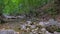 A lonely asian girl walks along the bottom of the canyon along a clean mountain river.